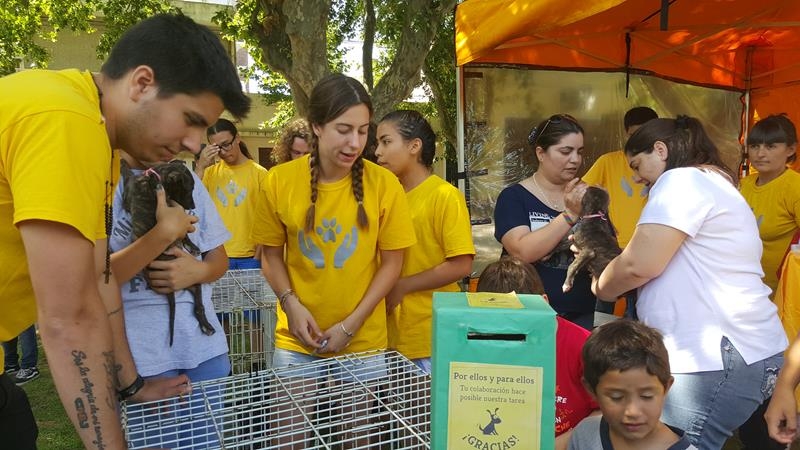 ULTIMA CAMPAÃA DE ADOPCION DEL AÃO, REFUGIO CANINO VENADO TUERTO, venado tuerto
