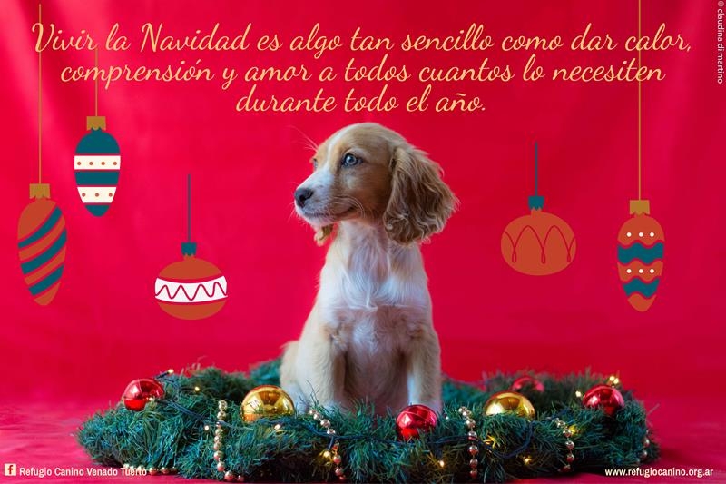 FIESTAS GUAU, REFUGIO CANINO VENADO TUERTO, venado tuerto