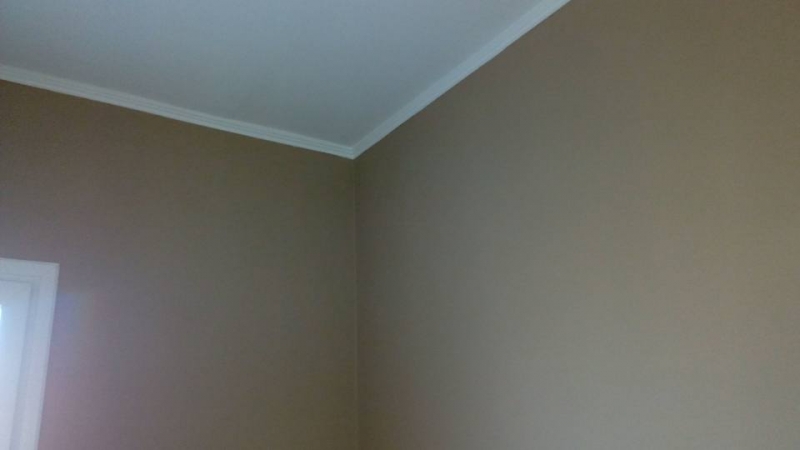 PINTURA INTERIOR, Grupo Longoni, venado tuerto