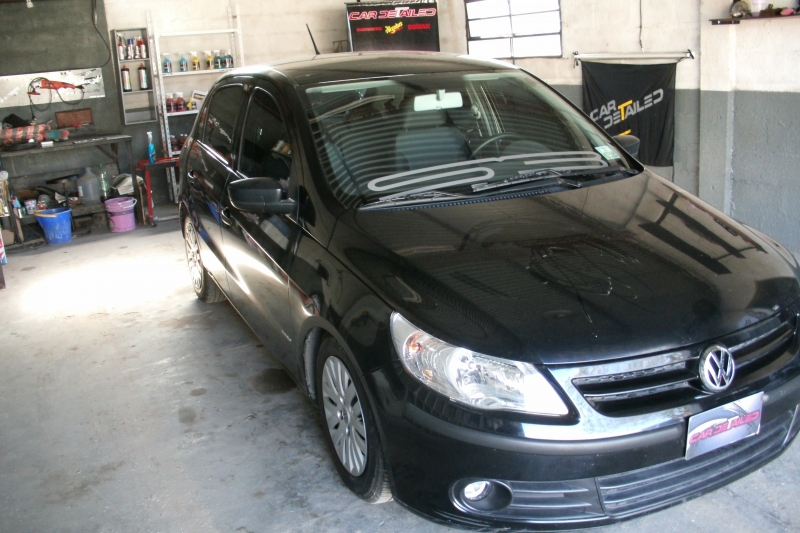 TRATAMIENTO ACRILICO, CAR DETAILED, venado tuerto