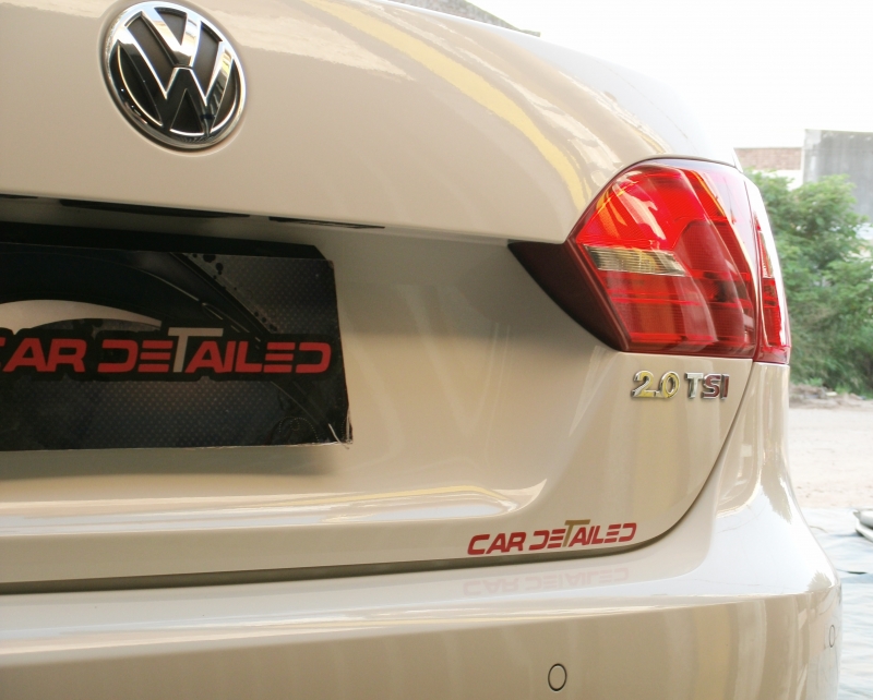 TRATAMIENTO ACRILICO, CAR DETAILED, venado tuerto