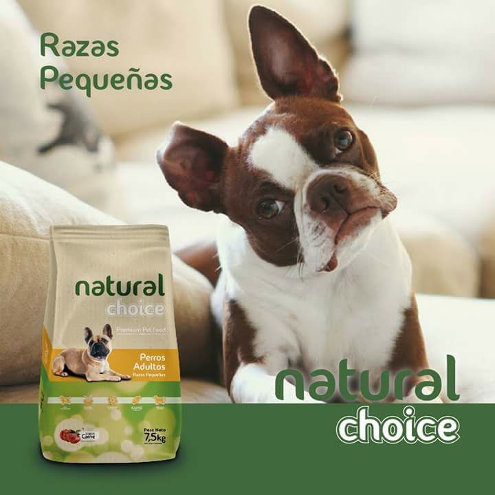 NATURAL CHOICE RAZAS PEQUEÃAS, DELKO ALIMENTOS S.R.L, venado tuerto