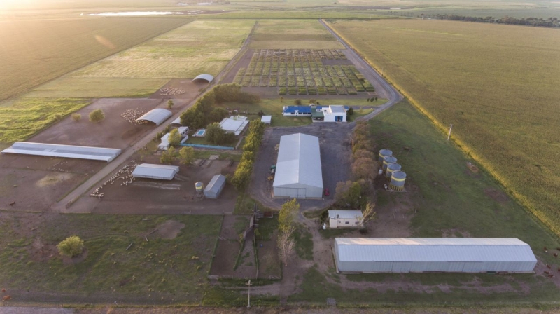 LA EMPRESA, CABAÑA UNELEN, venado tuerto