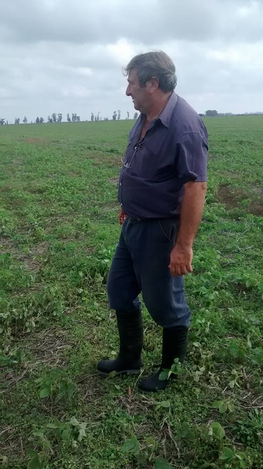 Post venta o seguimiento, CABAÑA UNELEN, venado tuerto