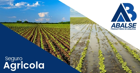Â¿QUE ES UN SEGURO AGRICOLA?, ABALSE SRL, venado tuerto